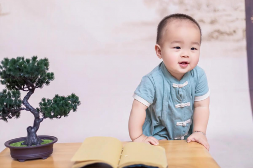 金昌可爱的企鹅宝宝